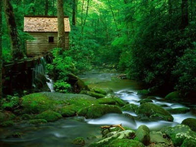 casa en el bosque | Tumblr