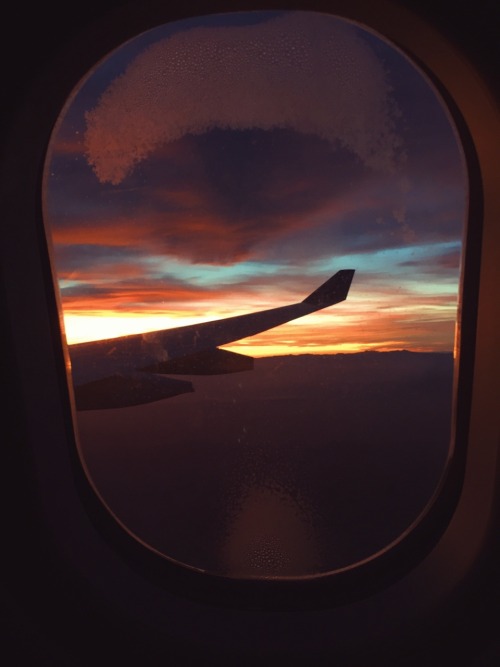 fxckingetit:airplanes & sunsets