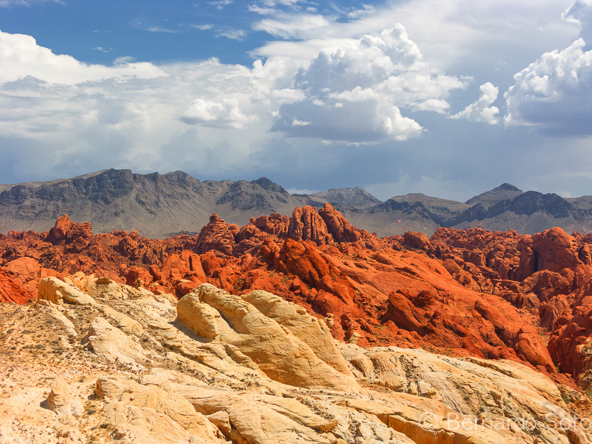 Desert Stuff — Valley of Fire State Park, Nevada