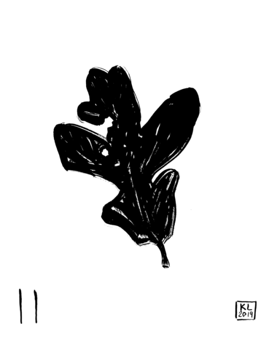 Day 11!
