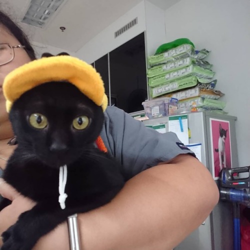 Timmy looking so adorable wearing caps! No worries, he gets...