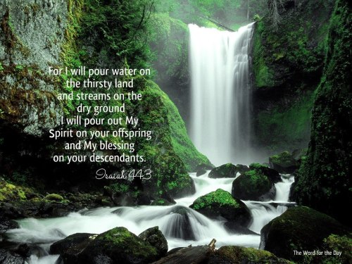 The Word For The Day • For I will pour water on the thirsty land, and...