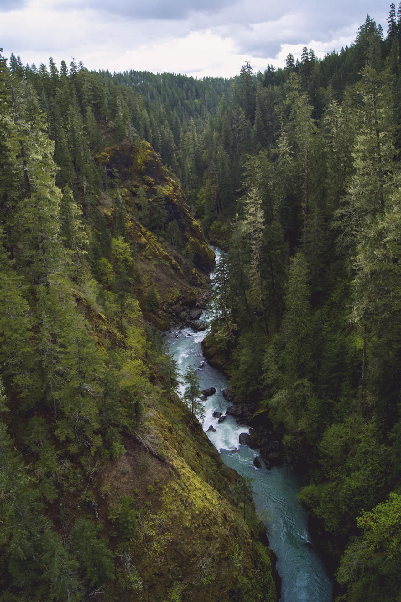 Lord of the Rings Scenery , Anduin River - Skokomish River, WA