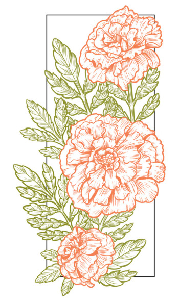 Marigold Tattoo Design Elegant Arts Tattoo