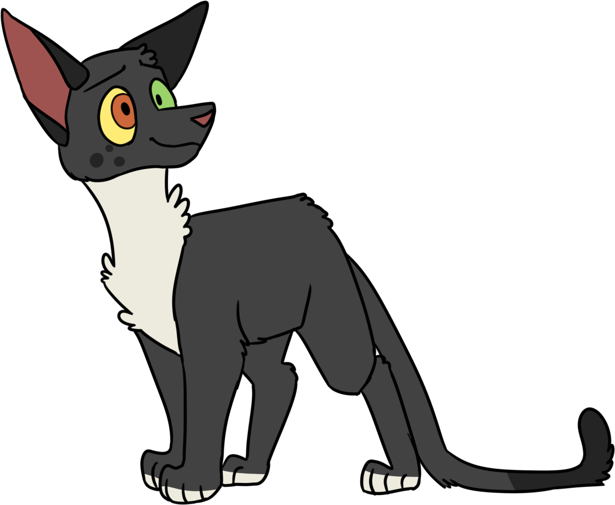 ravenpaw - chestons warriors designs