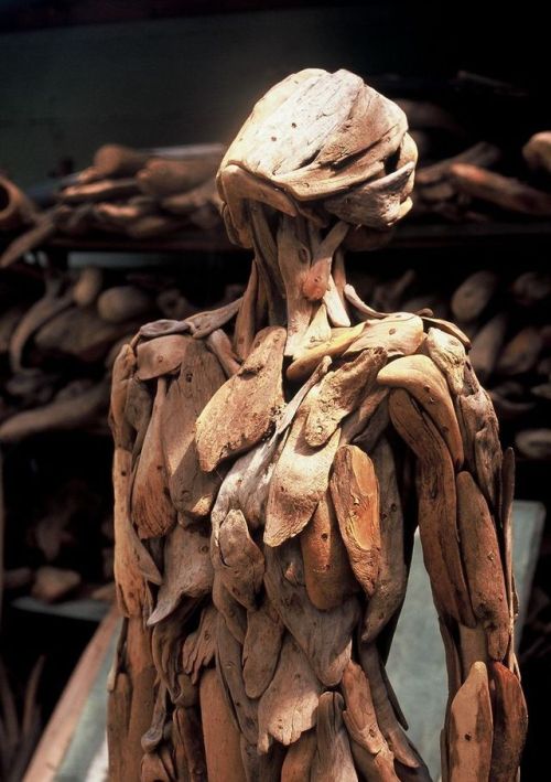 culturenlifestyle:Hauntingly Beautiful Driftwood Sculptures...