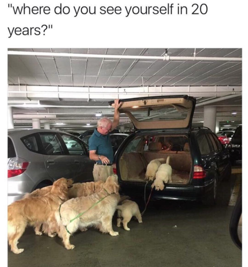 thesearchforparadise