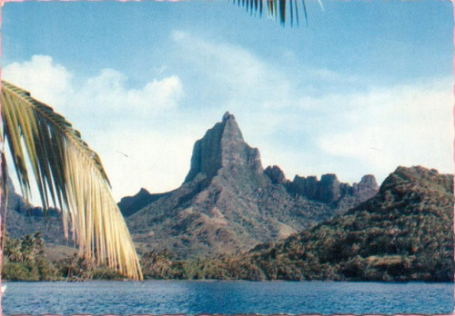 apeninacoquinete:Moorea, Mt. Muaroa, la baie de Papetoaï,...