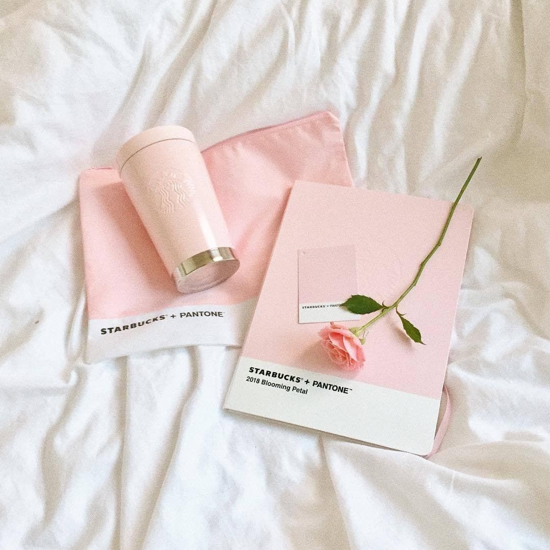 pink and white aesthetic | Tumblr