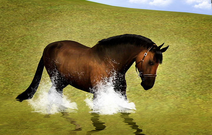 Lexington Stud |update! - Страница 2 Tumblr_o8mcbeyQYy1szonwvo4_1280