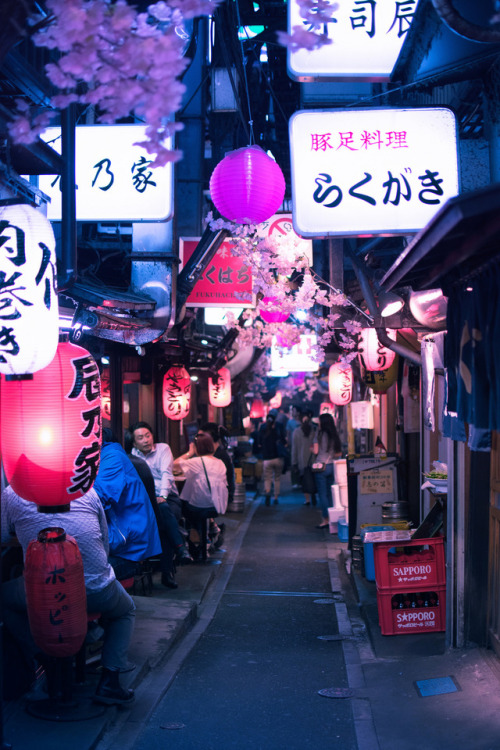 inefekt69:Omoide Yokocho in Shinjuku - Tokyo, Japan