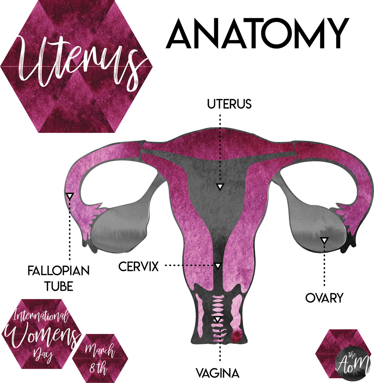 The-Art-Of-Medicine — Uterus Anatomy Happy International Women’s Day!
