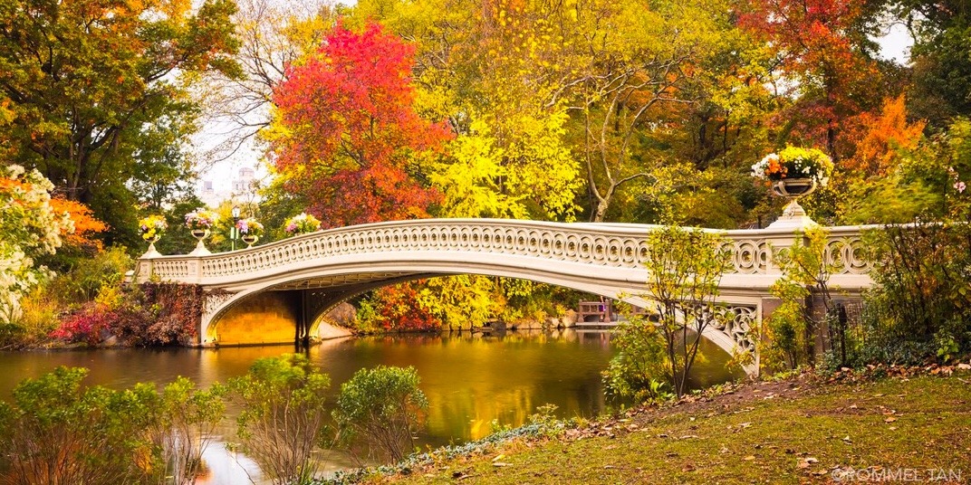 Bow Bridge, Central Park by @rtanphoto