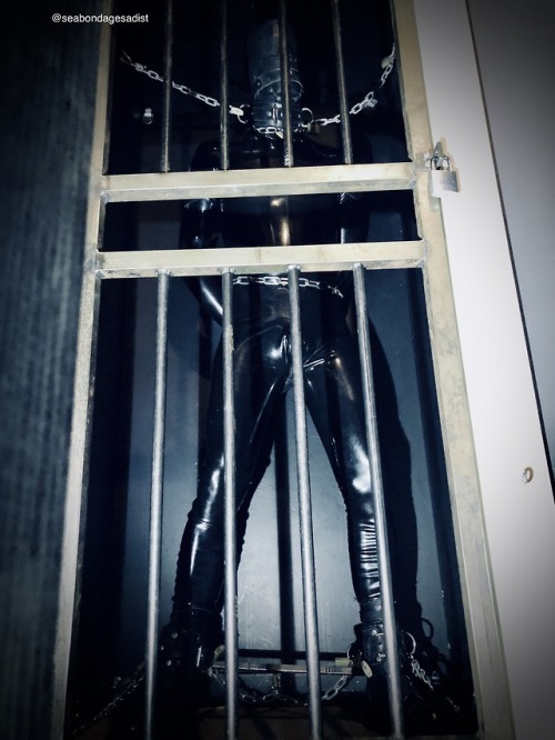 kinkycigarfur:seabondagesadist:The day started with full gimp...