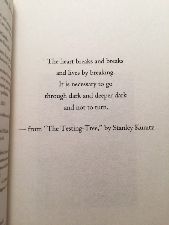 Epigraph  Tumblr