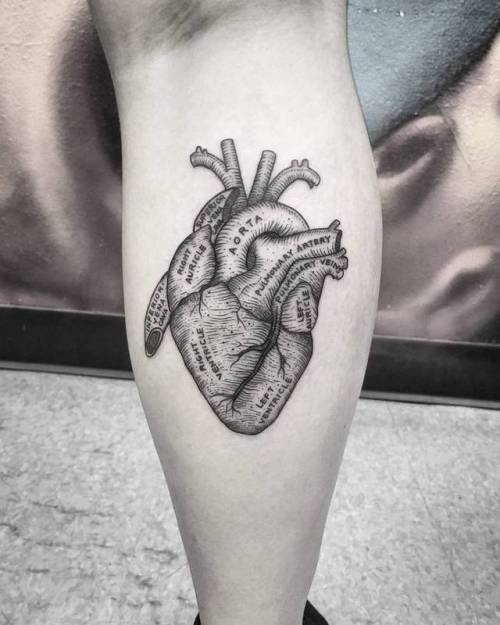 1040+ Free Tattooed Heart Quotes Tumblr Idea Tattoo Images