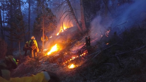 Wildland fire