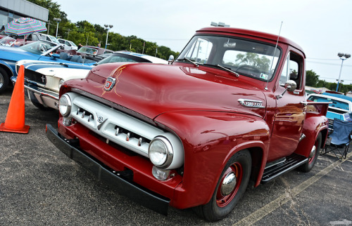 chadscapture:1956 Ford F100