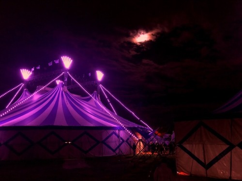 neon circus | Tumblr