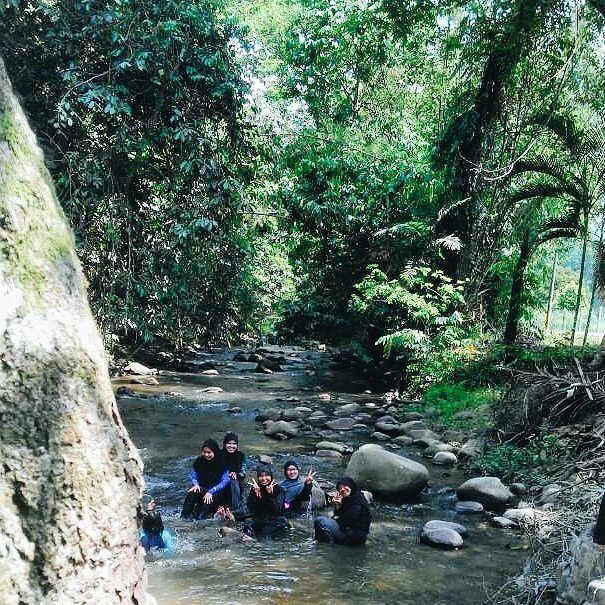 76 Gambar Air Terjun Janda Baik Paling Keren 76 Gambar Air Terjun Janda Baik Paling Keren