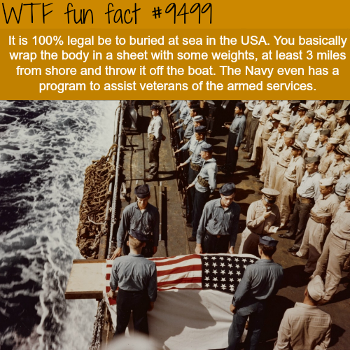Fact Of The Day-Monday January 28th 2019 Tumblr_pm04dfDtGY1roqv59o1_500
