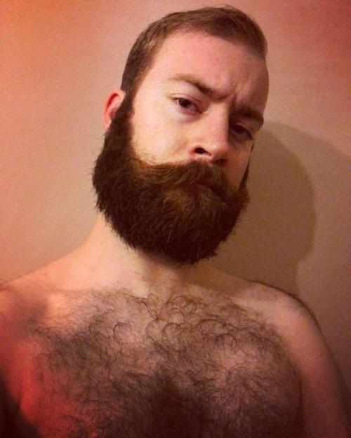 pizzaotter:The beard has now completely taken over my face.