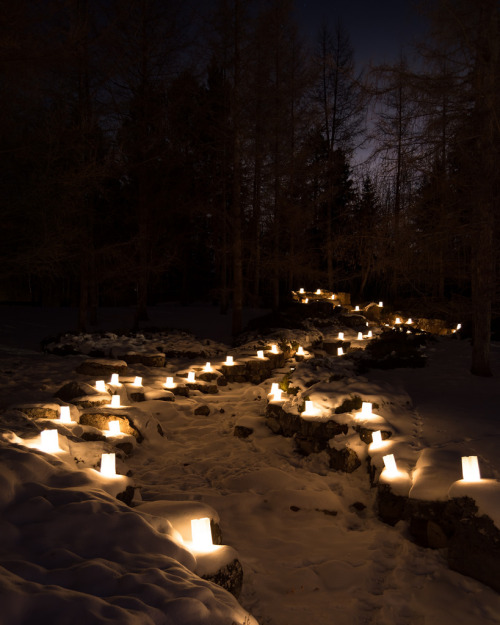 teleos:Luminaria, Devonian Botanic Gardens, December 2015 by...