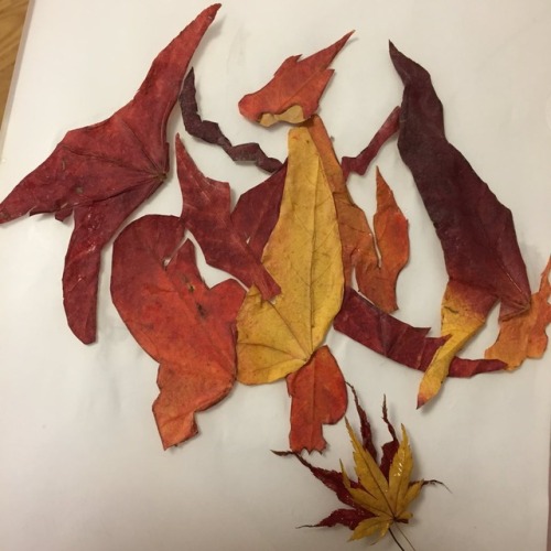 geekgamer:Charizard made from autumn leaves