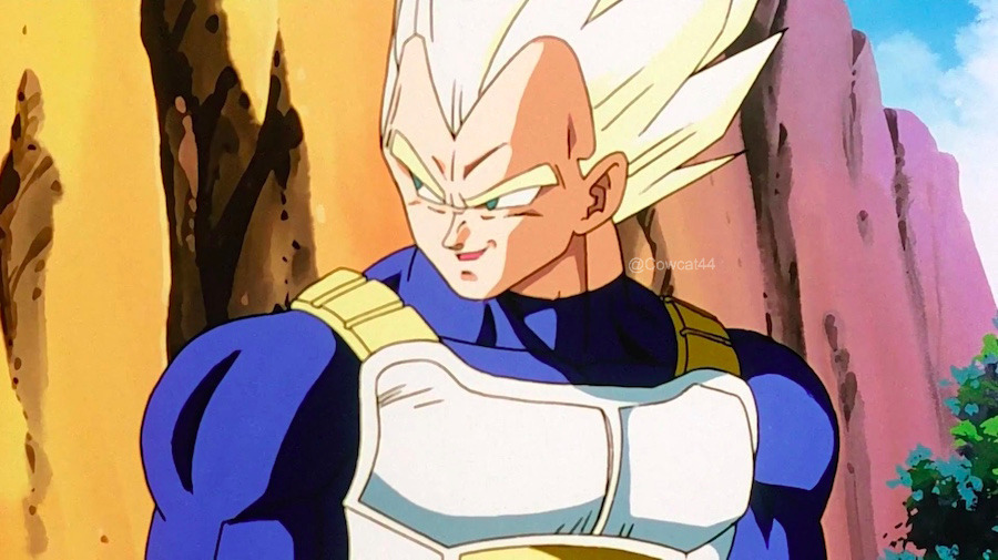 vegeta tfs