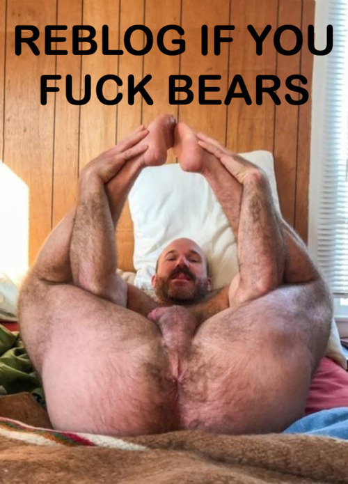 daddiesnextdoor:Are you kidding? Bears are the ONLY type of...