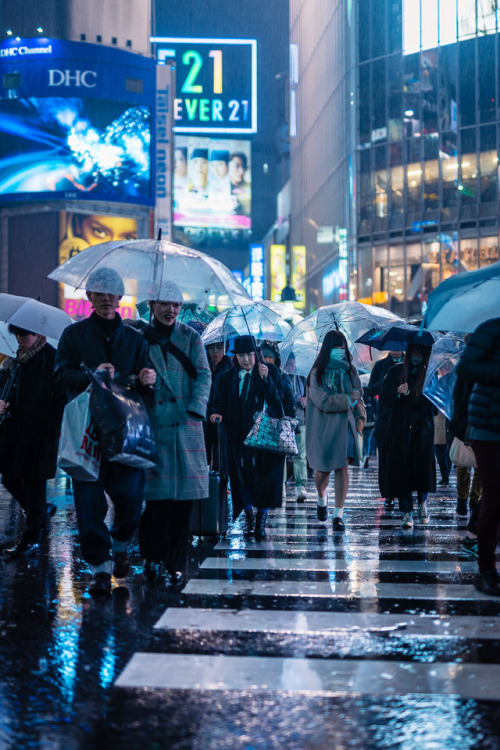 michaelmuecke:Rain time = reflection time. :)