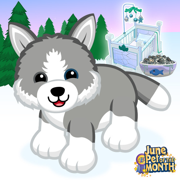 husky pup webkinz