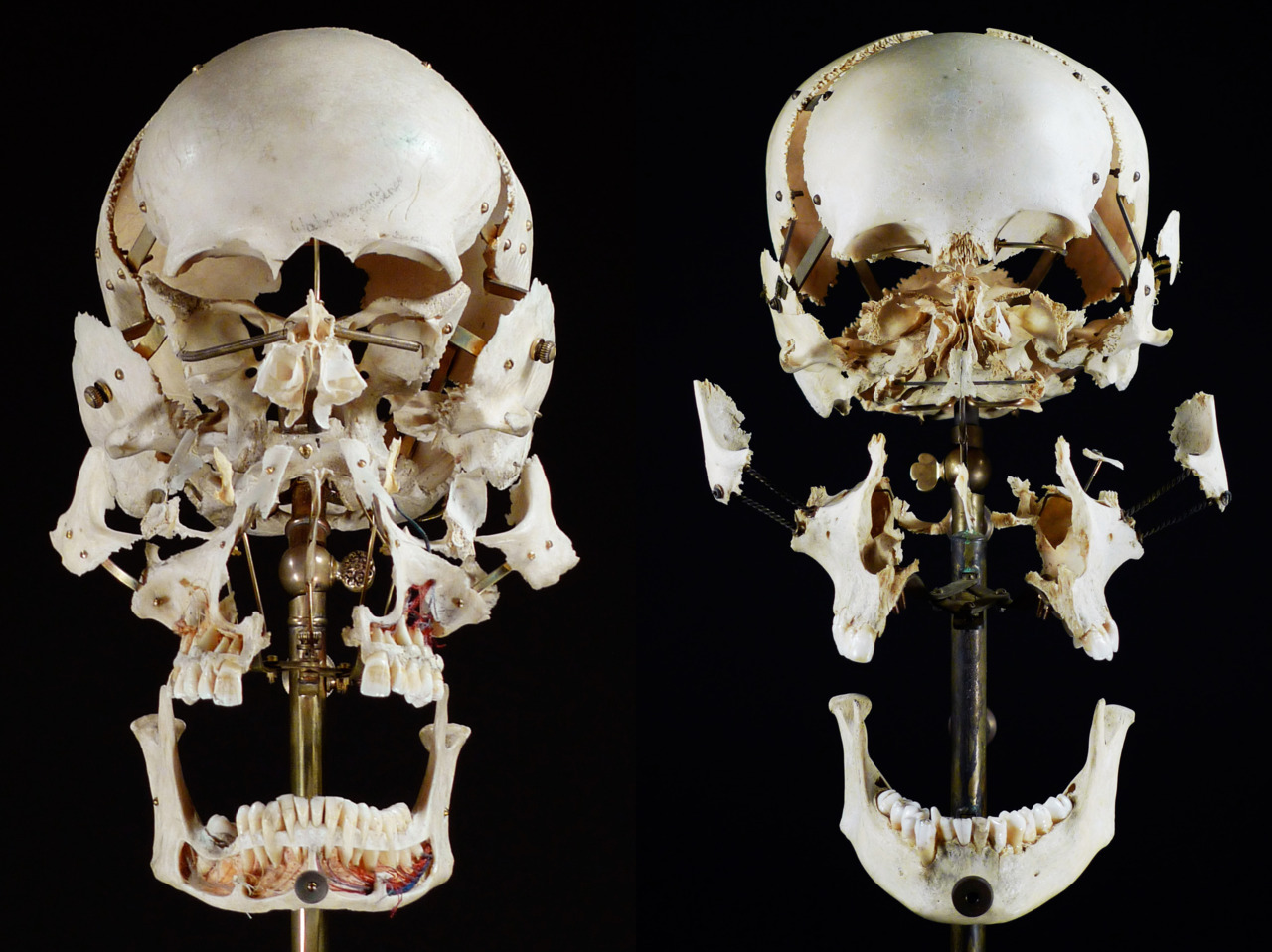 It's just a photo of Sizzling Exploded Skull Drawing It is a graphic of Sizzling Exploded Skull Drawing