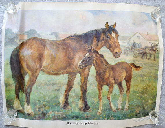 Domestic Horses, Original Soviet poster (1966)
Listed on Etsy: https://www.etsy.com/sovietpostcards/listing/551286147/