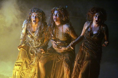 macbeth witches witch costume top drawer costume macbeth