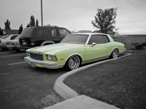 radracerblog:1979 Chevy Monte Carlo