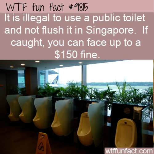 Fun Fact: It is illegal to use a public toilet  and not flush it in...