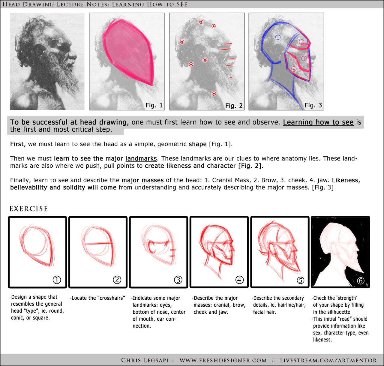 Ashes Where Once Fire — Anatoref: Head Drawing Tutorial (Based On Steve...