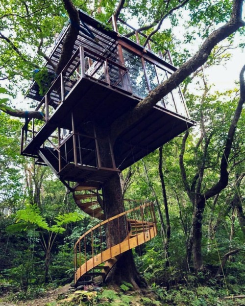 utwo:Treeful Treehouse EcoResortOkinawa© treeful.treehouse