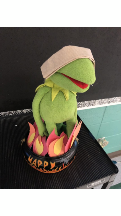 publicschoolstories:Someone brought in a Kermit and now everyday...