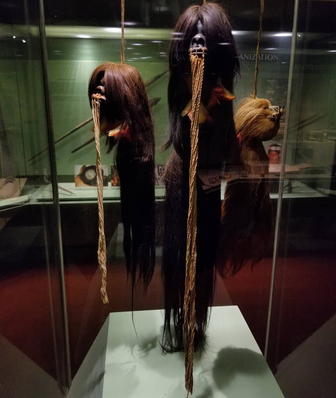 shrunken heads on display