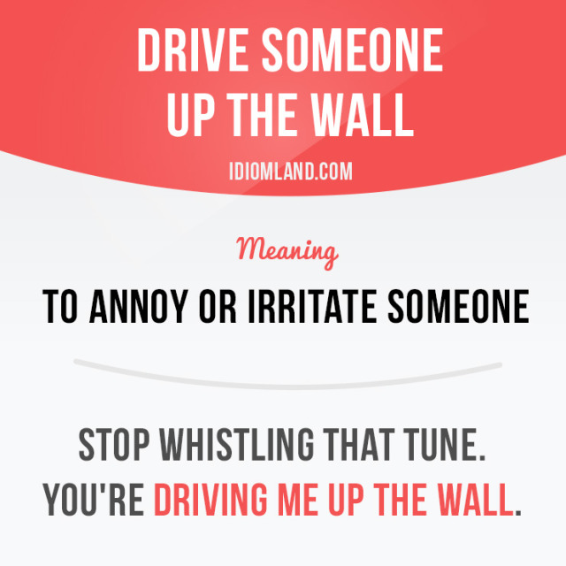 idiom-land-drive-someone-up-the-wall-means-to-annoy-or