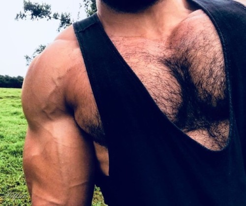 Hairy Men Paradise