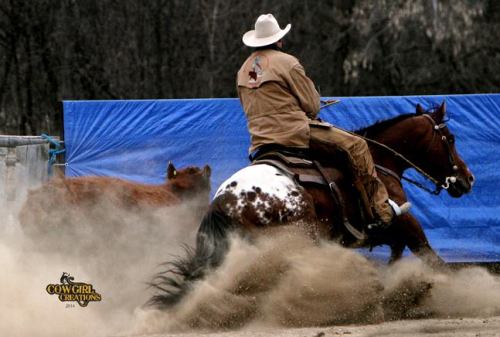 bay blanket appaloosa | Tumblr