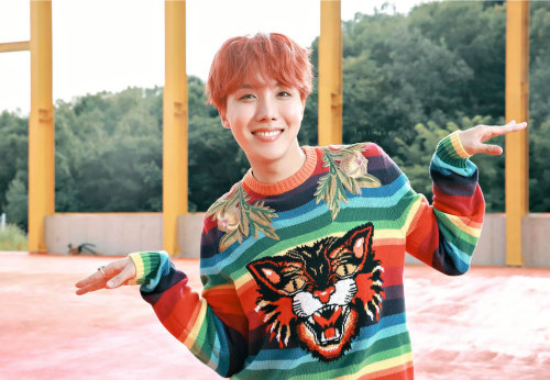 lnkimtae