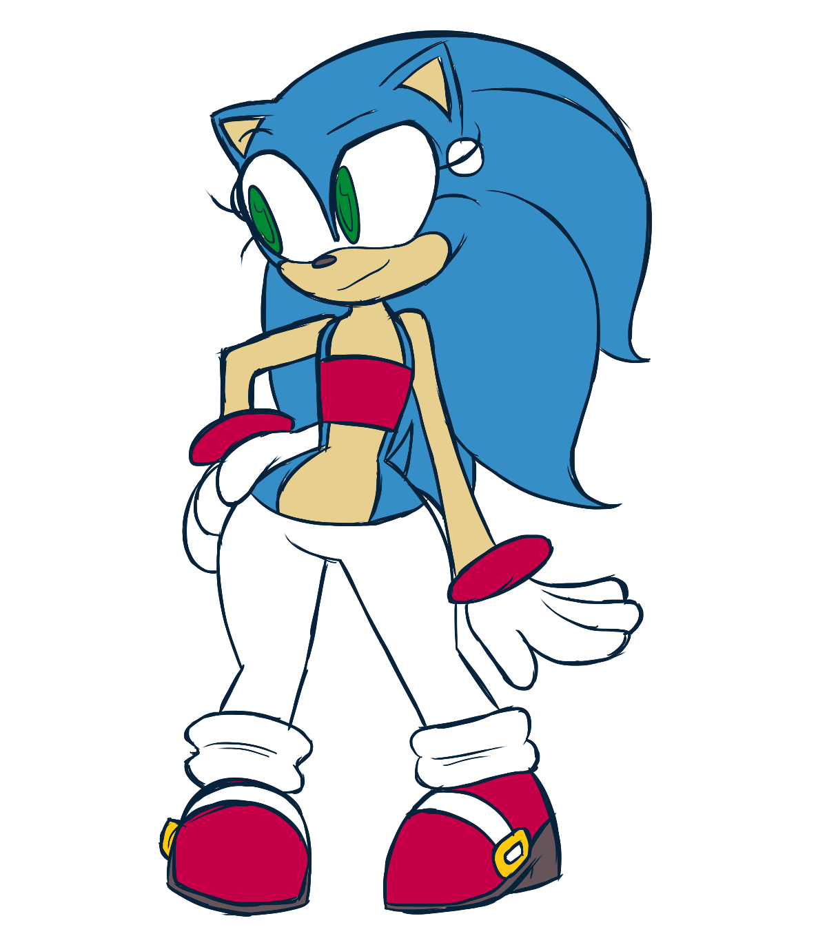 Соник r63. Sonic the Hedgehog r63. Sonic 63. Соник r63 арт.