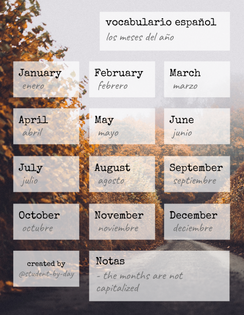 student-by-day