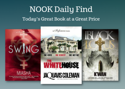 Akashic Books Nook Daily Find Barnes Noble