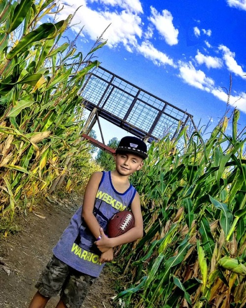 Corn maze football. (at Anderson...