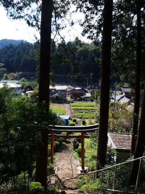 namimushisrn:柏木神社 （2018/10/24）　Kashiwagi-Shrine東京都青梅市成木５丁目 　...